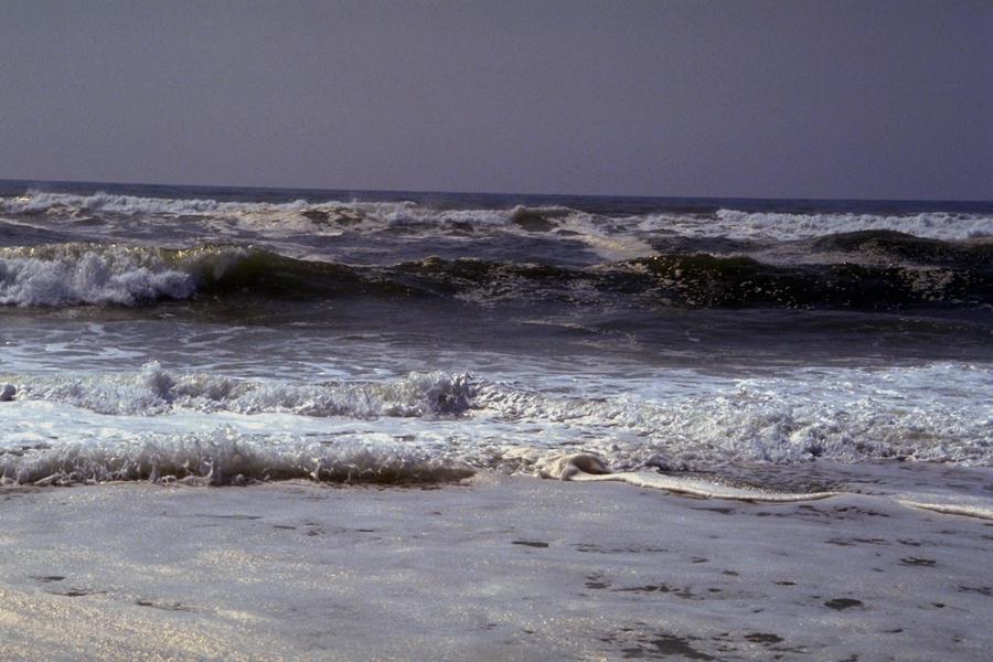 Img0014.jpg (79657 bytes)